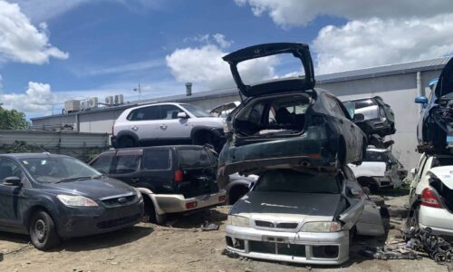 cash for cars pukekohe