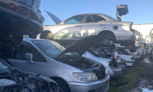 cash for cars tauranga